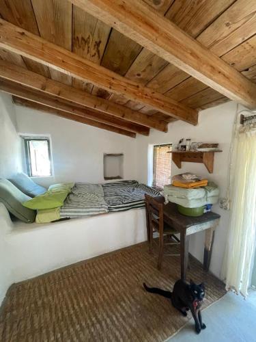 Kithira House | Circadia