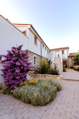 Veli Losinj Apartment | Citadela Veli Lošinj
