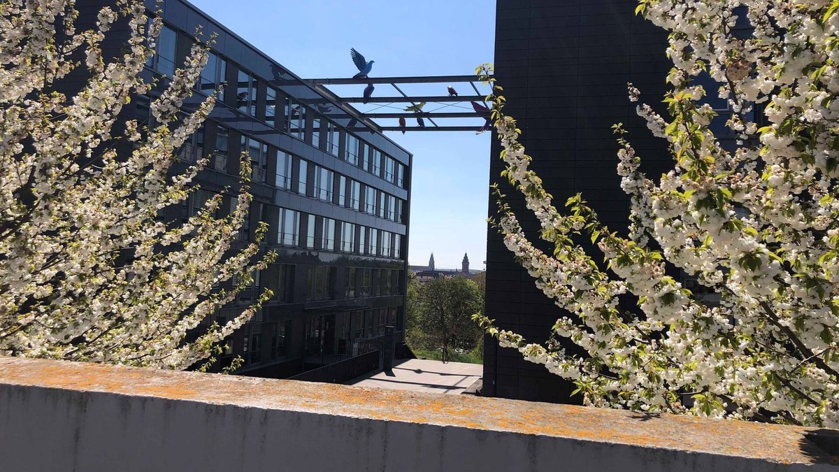 Landau in der Pfalz Apartment | City apartment in Landau - SUP APP SO