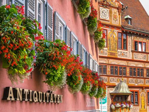 Lustnau Apartment | City Apartment Tübingen-Lustnau