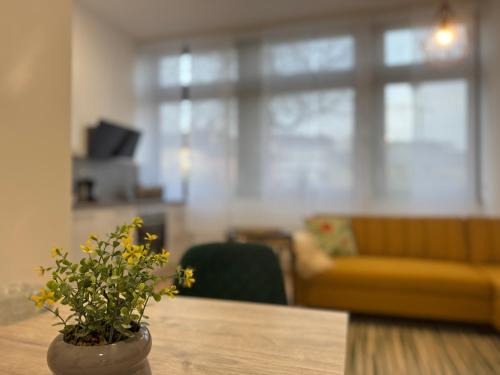 Amberg Apartment | City Base