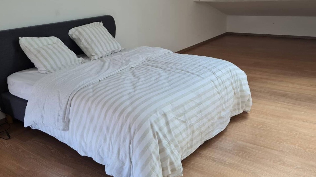 Faubourg Apartment | City center apartment 2 minutes from the arena and maison carrée