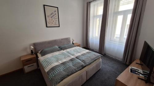 Nove Mesto Apartment | City center apartment Thomas No3