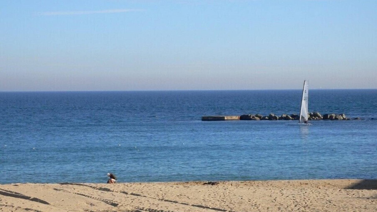 La Vila Olimpica del Poblenou Apartment | City Center of Barcelona and 50 m from Beach, terrace, garden, WIFI and parking