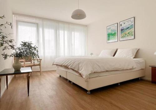 Oerlikon Apartment | City Comfort - 2BR Apartment Newly Renovated -301-