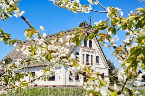 Weimar Apartment | Cityappartement am Kirschberg
