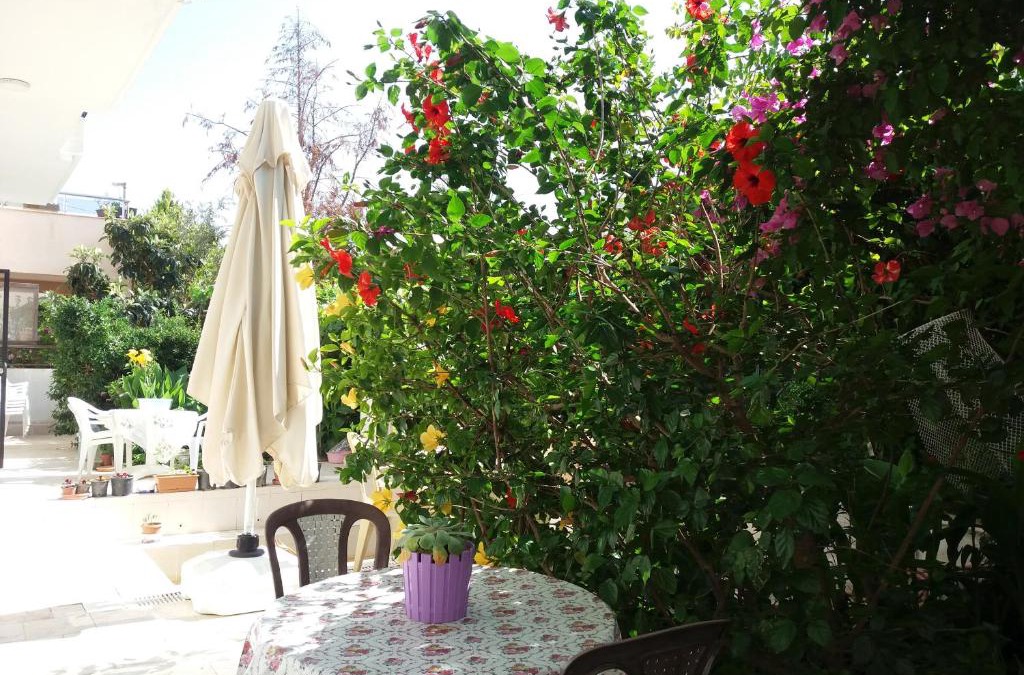 Ilica Apartment | Cizmeci Apart Hotel