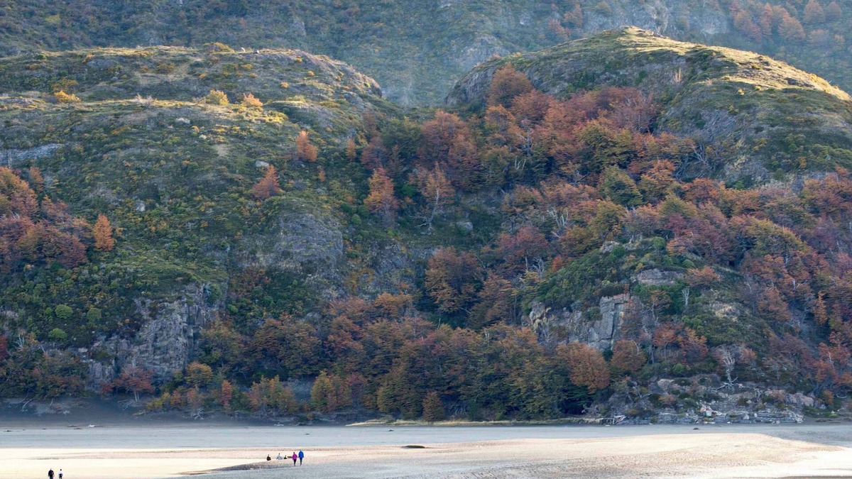 Torres Del Paine House | nPatagonia Lodge: A Symphony of Nature and Luxury