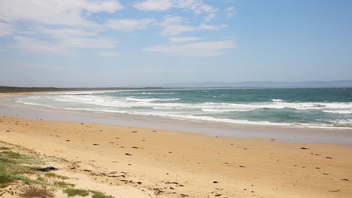 Currarong Cottage | Clara's Coastal Cottage - Pet Friendly - 1 Min Walk to Beach