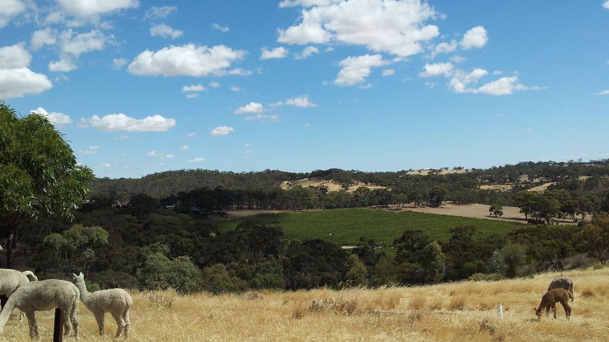 Emu Flat Cottage | Clare View COTTAGE (pet friendly) Sleep 4