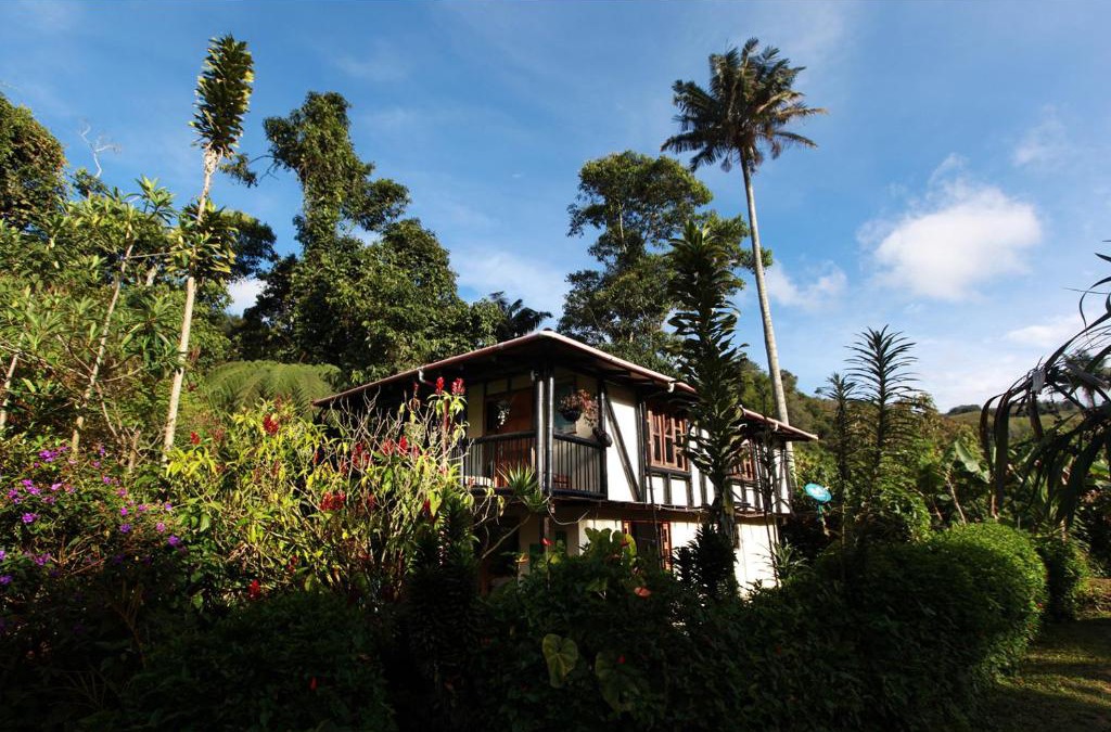 Salento Cabin | Claro de Luna