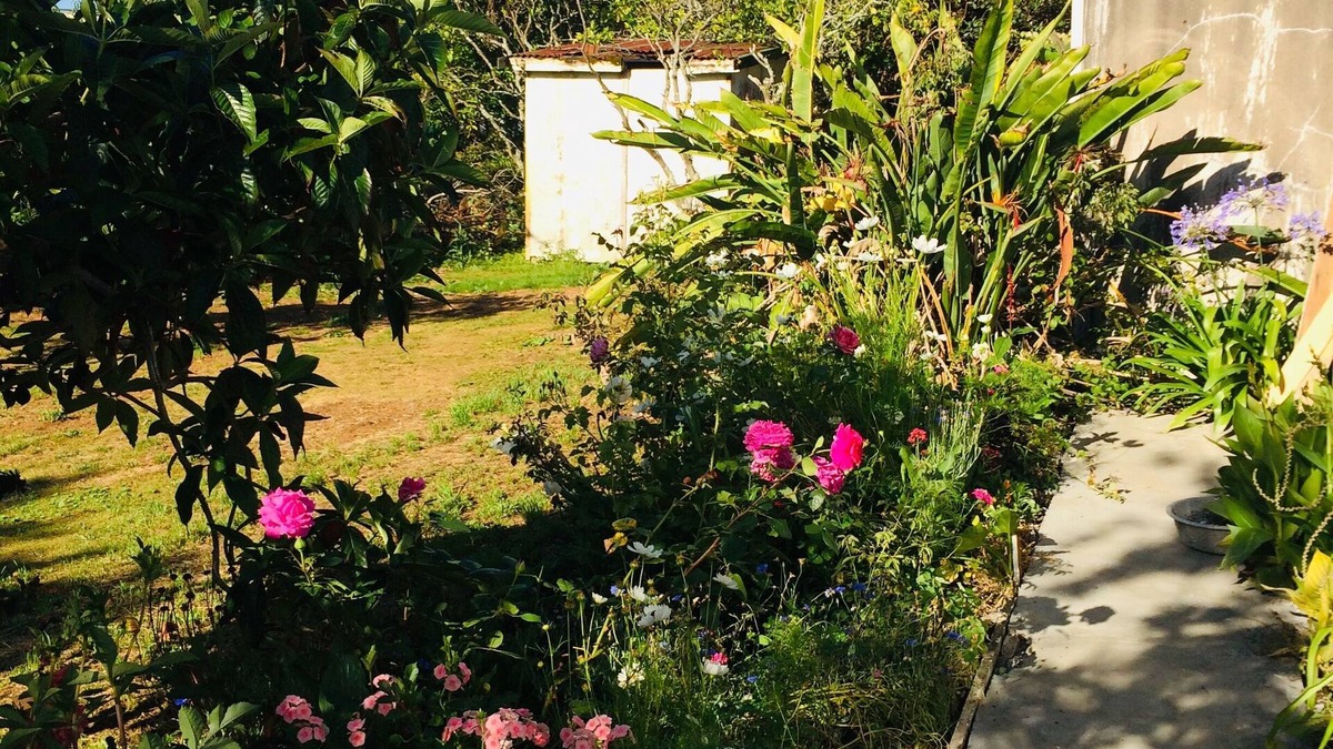 Awhitu House | Classic 1950s house