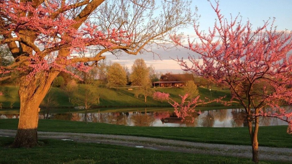 Taylorsville Cabin | Classic Kentucky Farm: Bluegrass - Bourbon - PGA -Firepit-Horse Country-WiFi