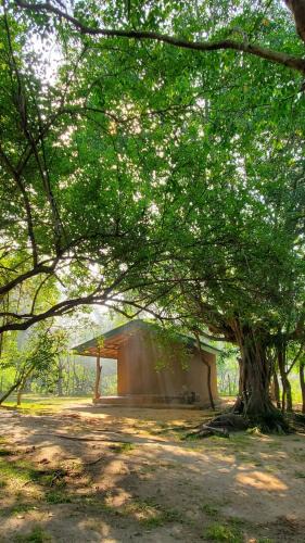 Polonnaruwa Bed & Breakfast | Clay Hut Village