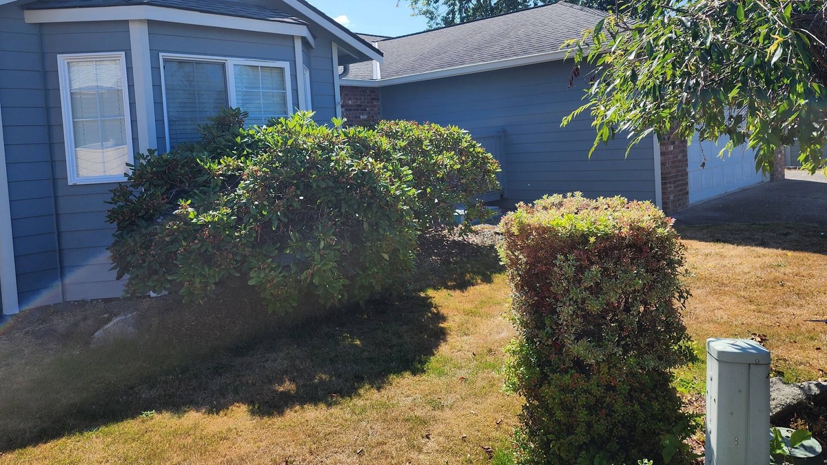 Marysville House | Clean, and Comfortable 3 bedroom House