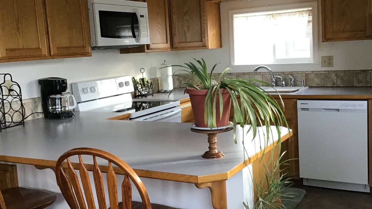 Plains House | Clean and cute,1 bed, 1 bath, small town setting across from city park.