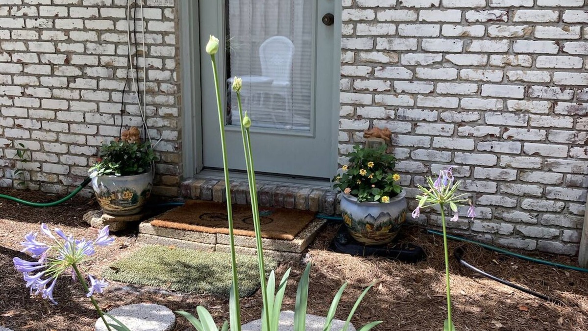 Atlantic Beach Apartment | Clean and cute 1b/1b, kitchenette, w/d, private fenced in yard, 1 block to beach