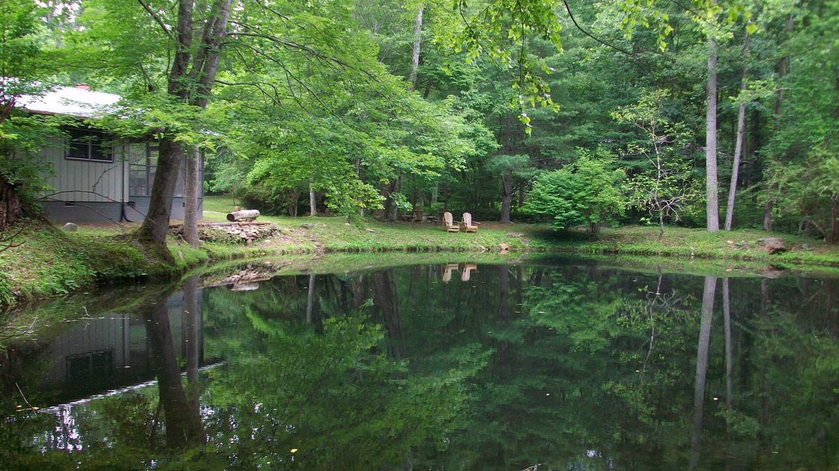 Hayesville Cabin | Clean, Comfortable, Single-Story on Rushing Compass Creek w/Private Swim Pond