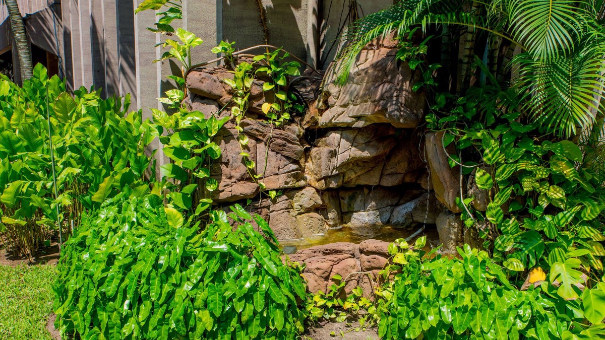 Ikoyi Resort | Clear Essence California Spa & Wellness Resort