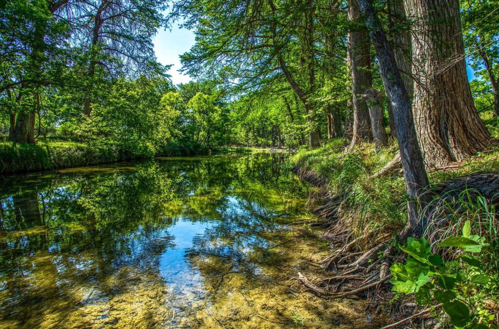 Bandera House | Clear River Cabin on Medina