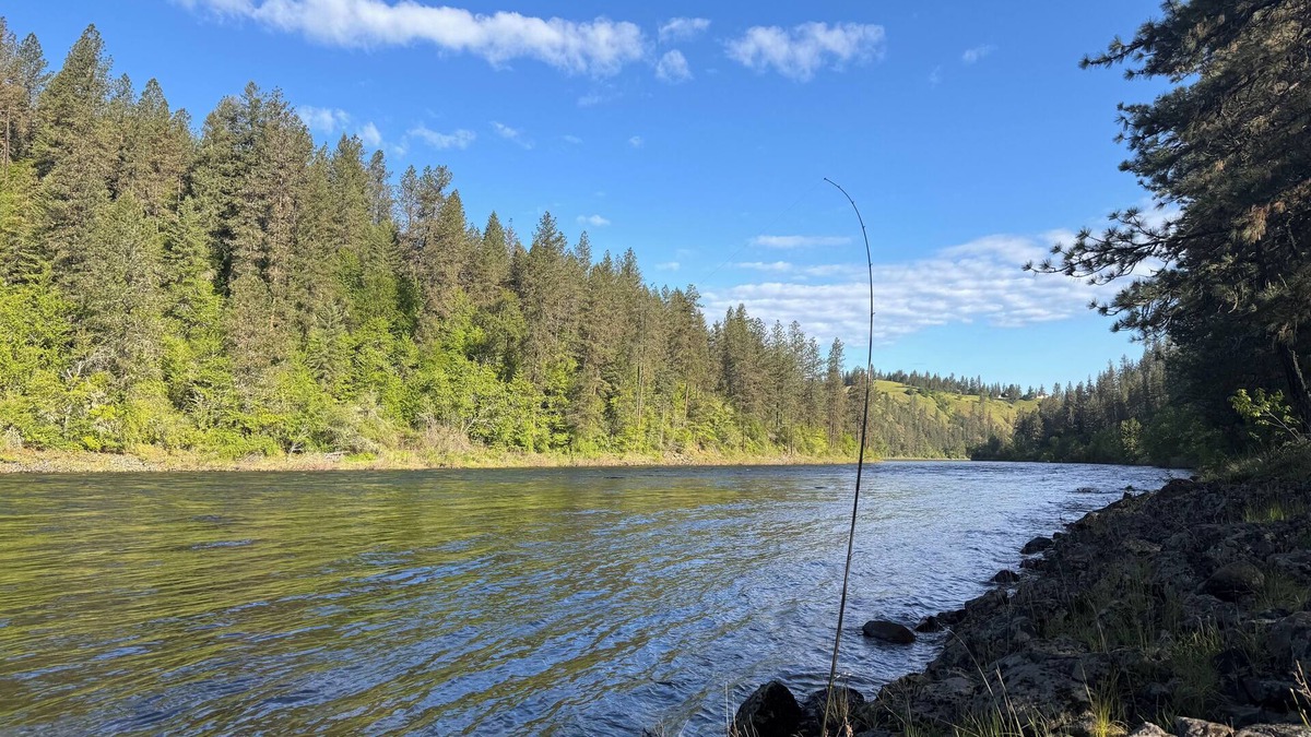 Kamiah Bed & Breakfast | Clearwater B&B Kamiah. World class Steelhead& Salmon fishing. Free breakfast op.