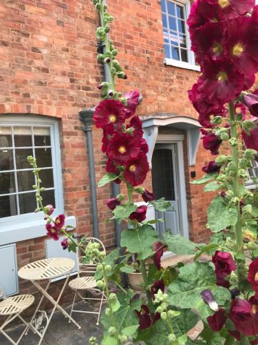 Upton upon Severn House | Clerks Cottage