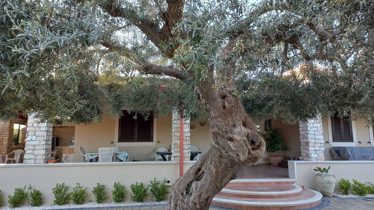 Solarino House | Climiti Holiday House.
