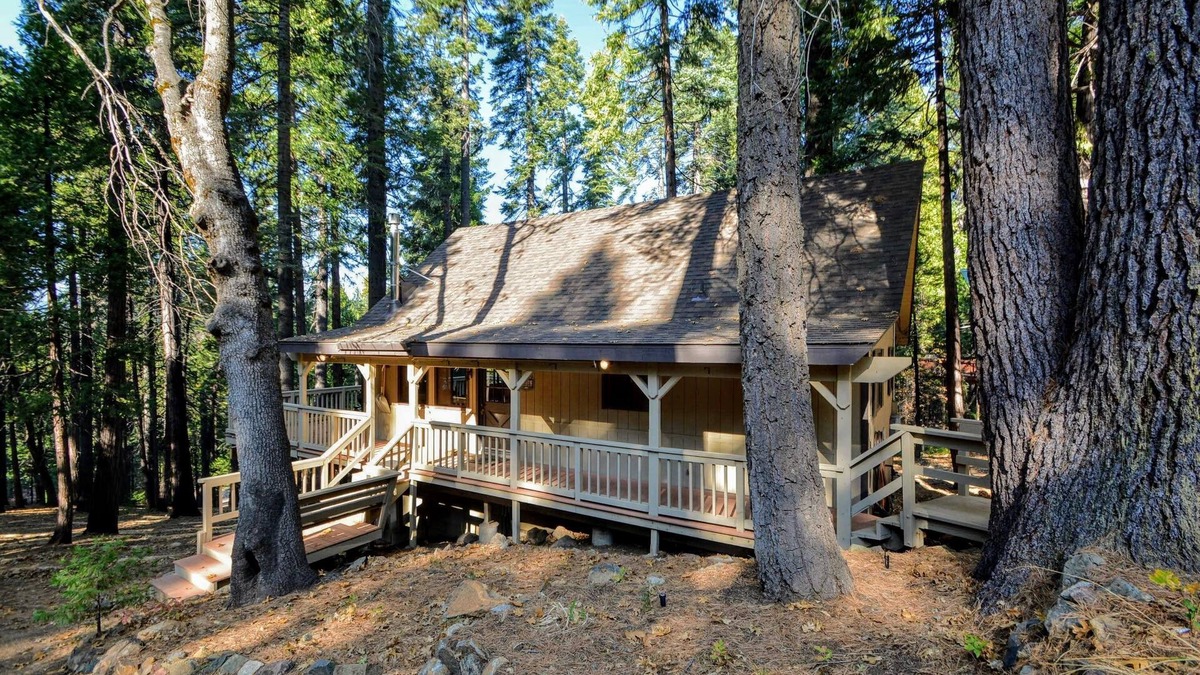 Camp Connell Cabin | Close to Bear Valley Ski Resort, Big Trees State Park, Hiking trails, and Lakes.