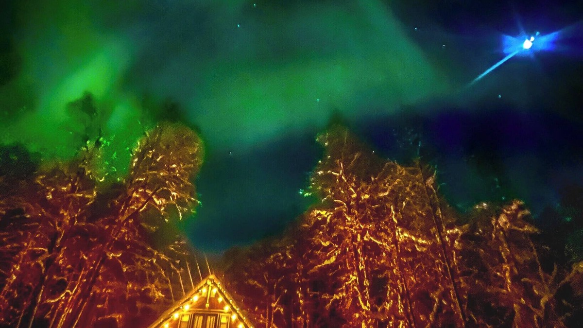 Susitna North Cottage | Close to Talkeetna, with easy access to Parks Hwy, walk to Denali Brewery Co.