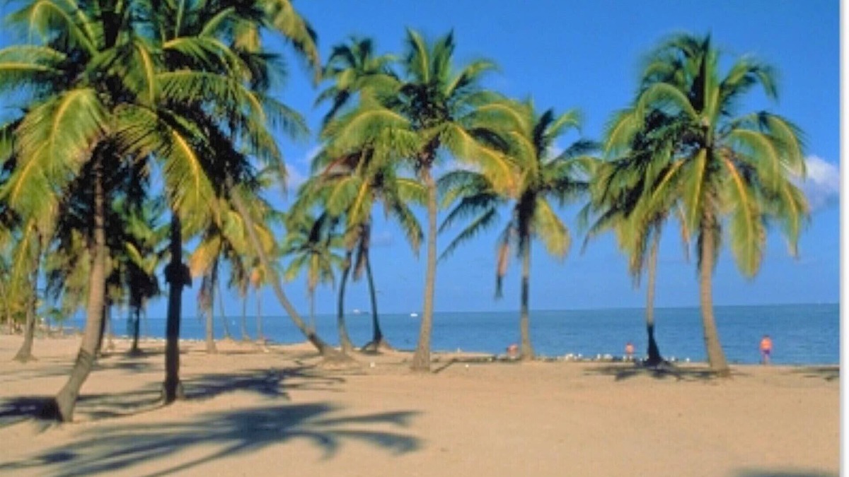 Key Biscayne Apartment | Close to the Ocean Two Bedroom with Pool -