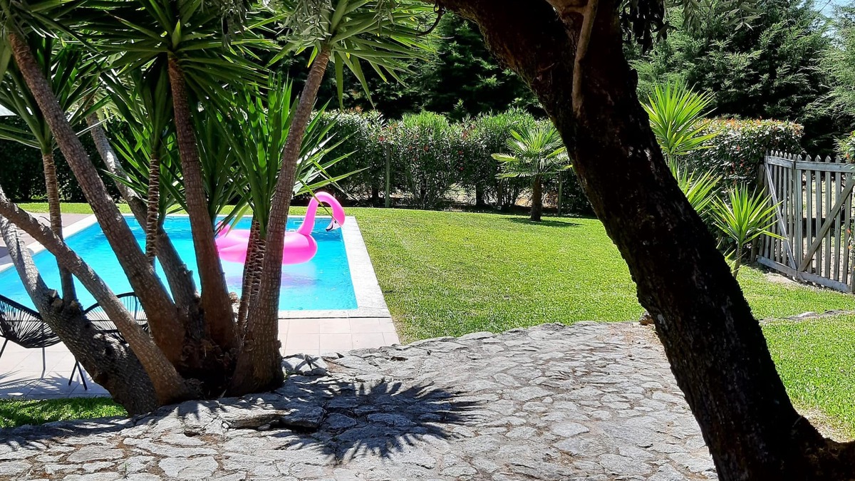 Carregal do Sal Cottage | Country house with pool, barbecue and green spaces