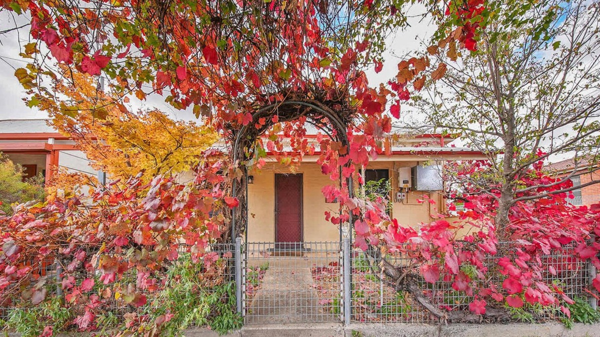 Orange House | Coachman's Cottage - Cosy Charm, Pets Welcome