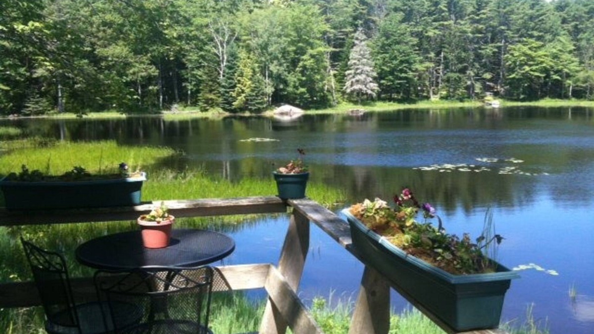 Isle of Springs Cottage | Coastal Cottage - Panoramic Views - Pond & Nature