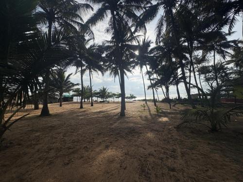 Hireguthi Hotel | Coco beach front stay