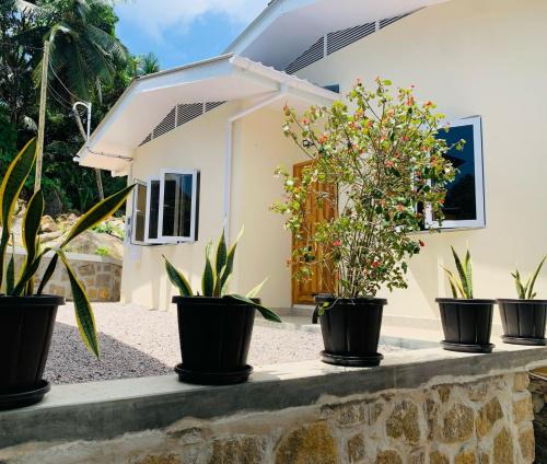 Mahe Island Apartment | Coco Vanille Chalets