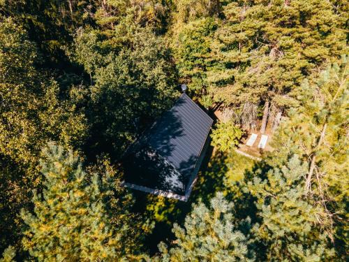 Renavas House | Cocodeno-'Virš Ąžuolų' - Forest SPA - FREE jacuzzi