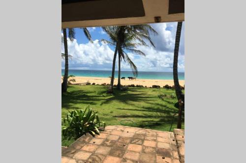 Corn Island Apartment | Coconut Castle at La Lodge at Long Bay