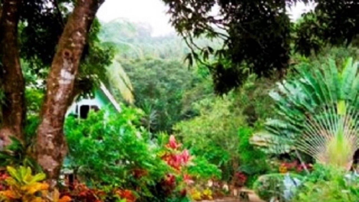 Marigot Cottage | Coffeeriver Cottage, Self-Contained for Self-Catering Cottage