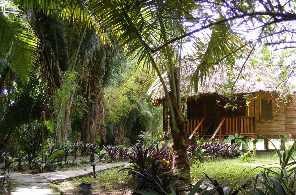 Bullet Tree Falls Resort | Cohune Palms River Cabanas