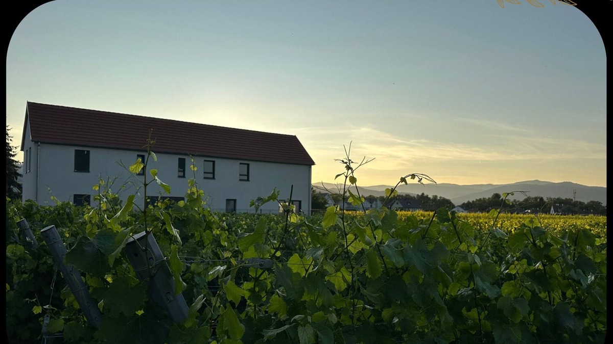 Ingersheim House | Colmar and co in the heart of the vineyards