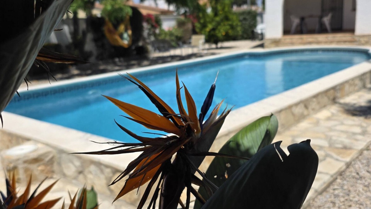 Riumar House | "Cologne"@MARISOL: 300m to the beach, private pool, A/C, WiFi, dog beach