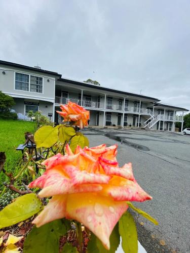 Yass Hotel | Colonial Lodge Motor Inn