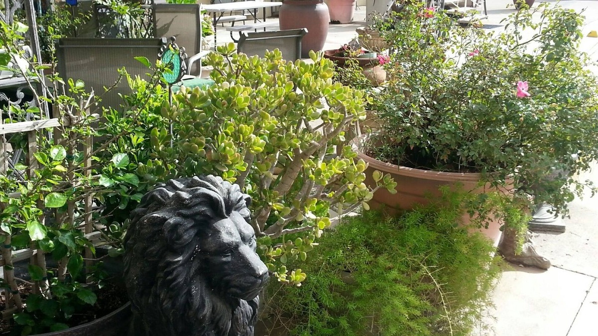 Colusa Hotel | Colusa Riverside Inn