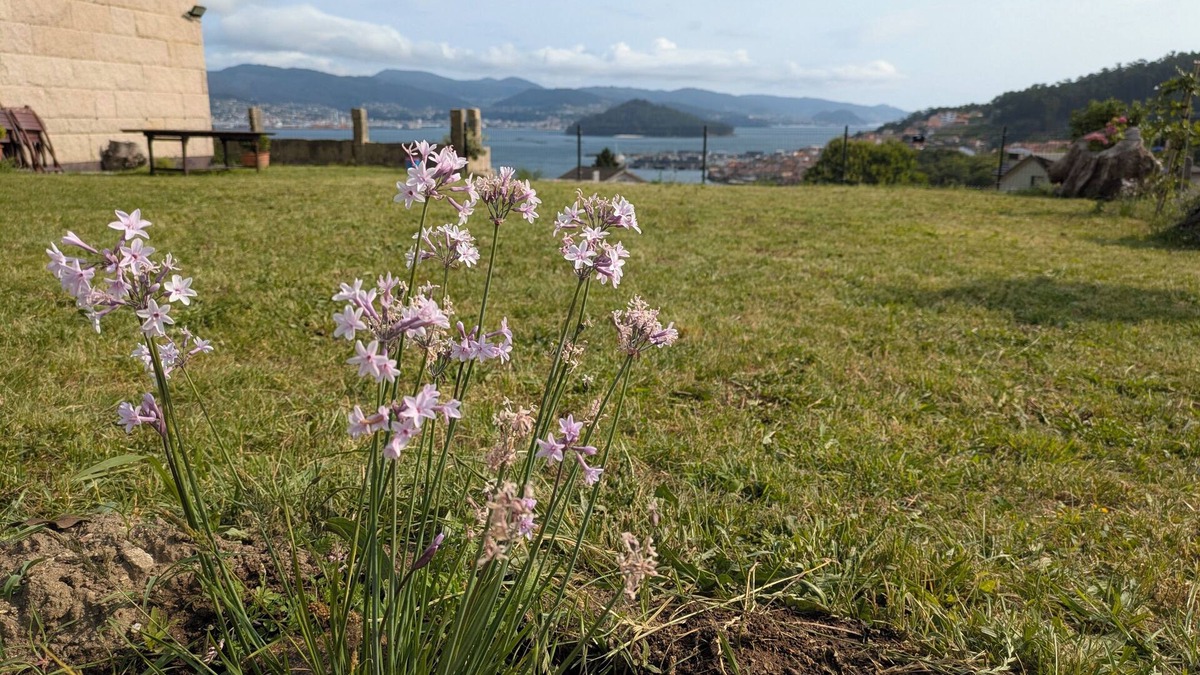 Casalvito House | Combarro Vista