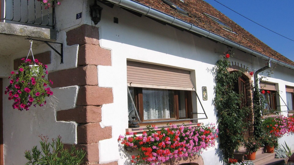 Neuve-Eglise Cottage | Come and discover the Floralies in the heart of the Val de Villé