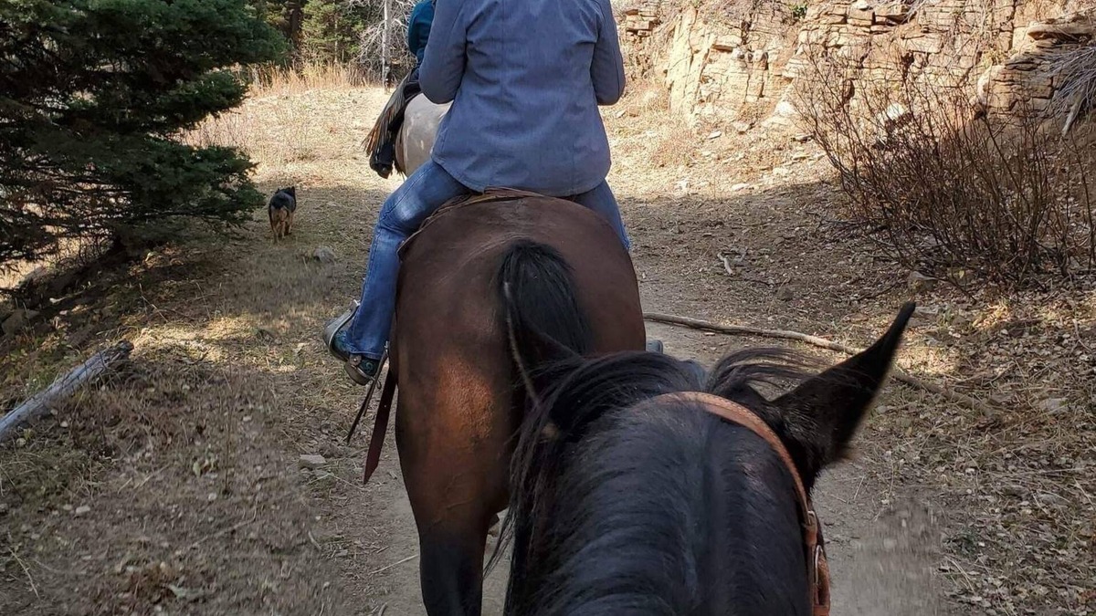 Bone RV Rental | Come camping on a 100 year old cattle ranch