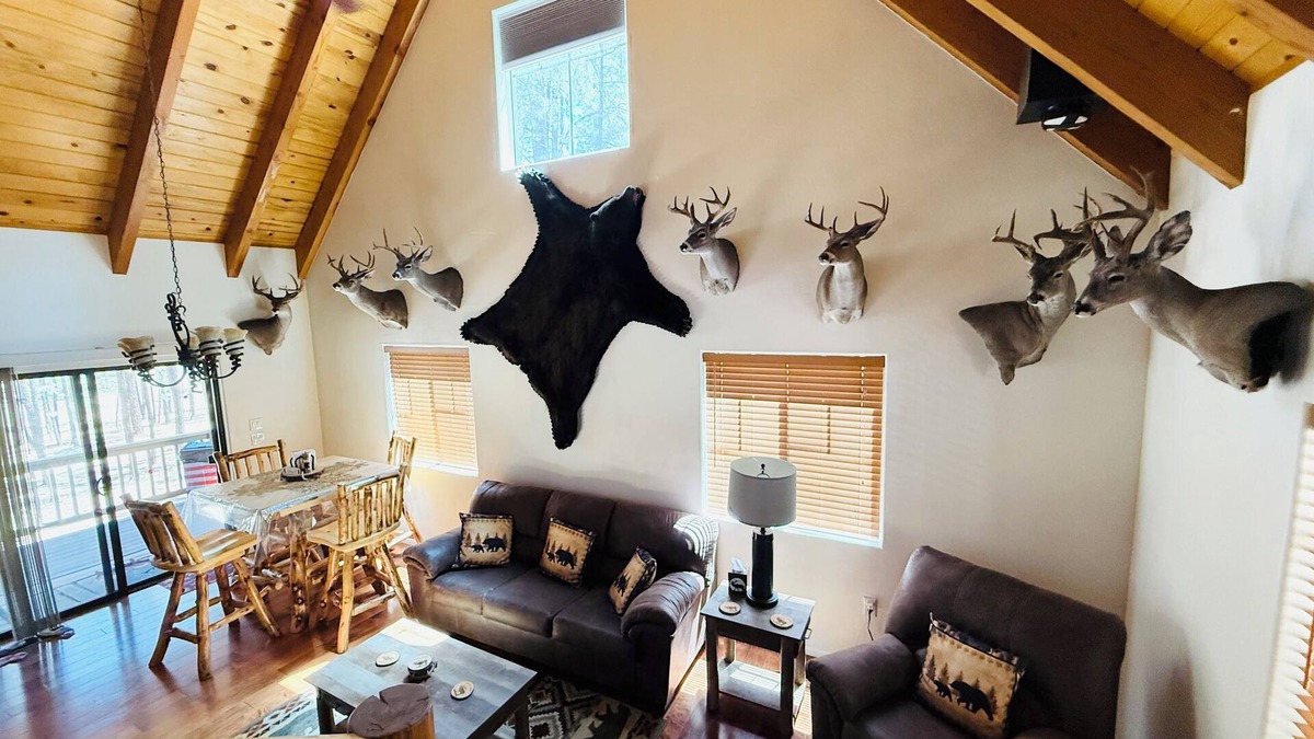 Alpine Cabin | Come Get Cozy in The Coues Cabin