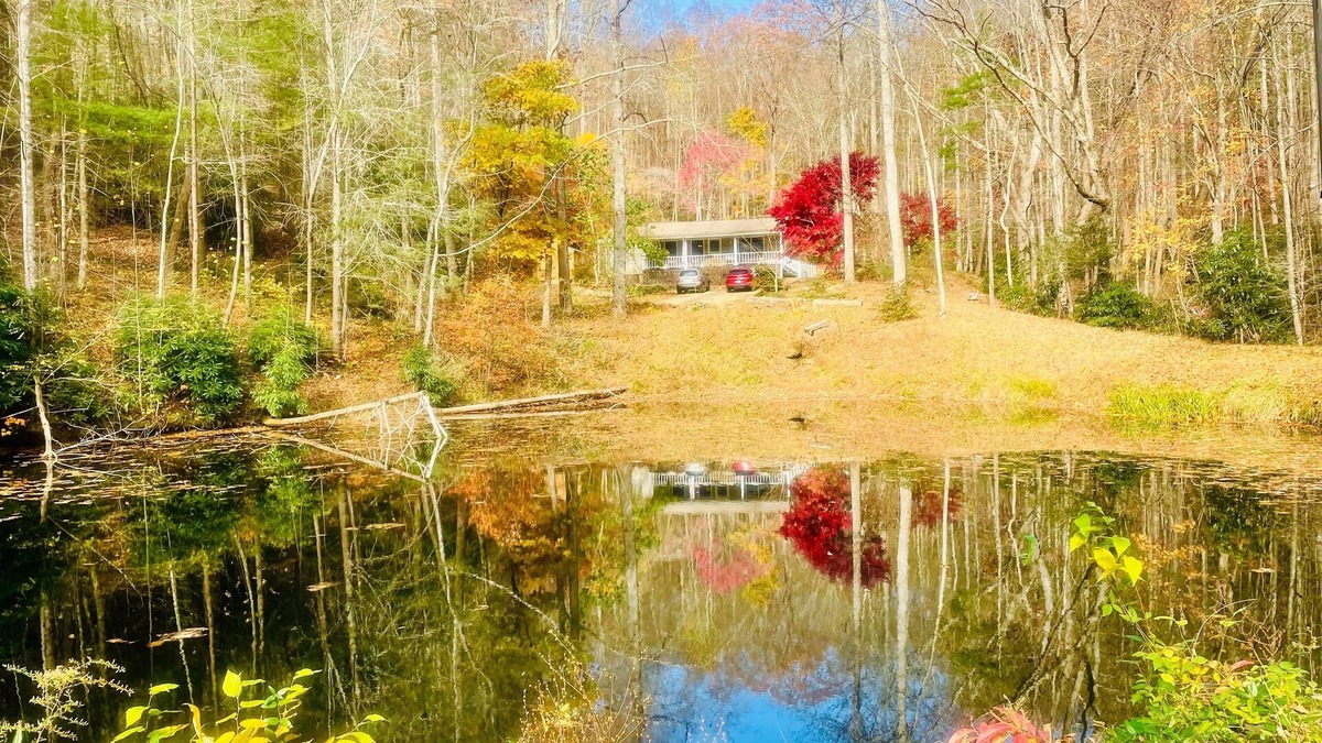 Marion House | Come relax at Duck Pond Mountain Retreat w/stream & pond on 9 acres