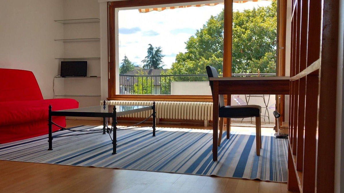 Annecy Apartment | COME TO ANNECY AND SEE !
