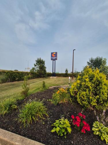 Fort Erie Hotel | Comfort Inn